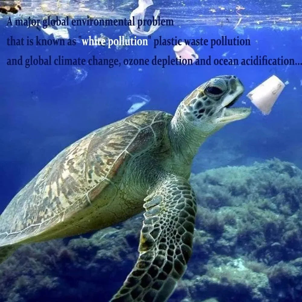 🌎 Eco-Friendly Biodegradable Mailers